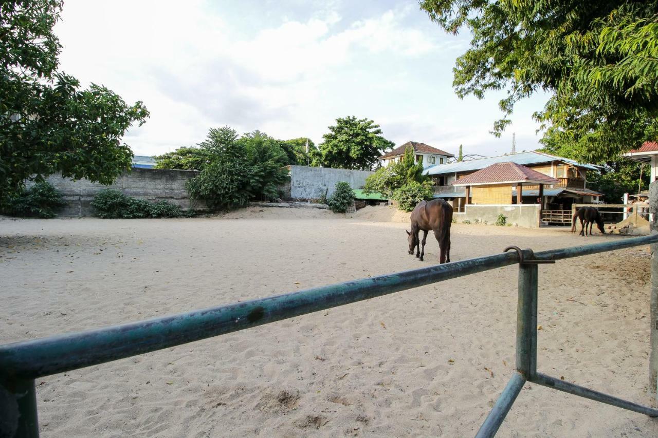 Mesari Beach Inn & Stables 塞米亚克 外观 照片